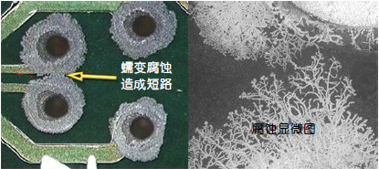 圖11a 印刷電路板上的銅蠕變腐蝕.jpg