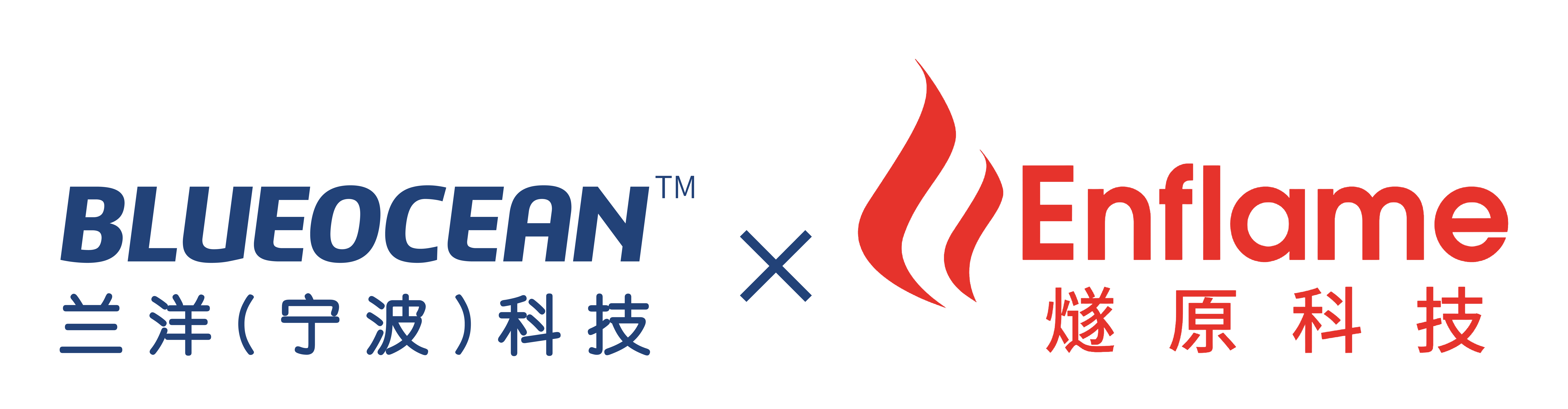 蘭洋科技燧原科技合作.png